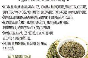 Tomillo: Un Remedio Natural Poderoso para tu Salud