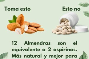 Las Almendras: Un Remedio Natural para el Dolor de Cabeza