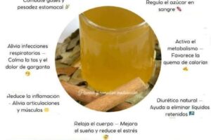 7 Beneficios del Té de Laurel con Canela para la Salud