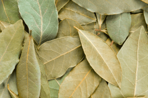 Beneficios de Colocar una Hoja de Laurel en los Calcetines