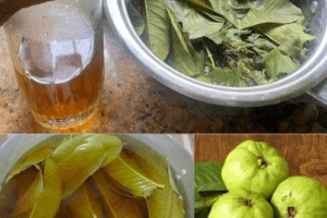 Infusión Saludable para Después de Comer