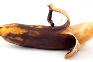 Convierte los plátanos podridos en un fertilizante natural poderoso