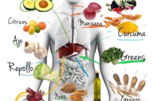 Guía Completa para Mejorar Tu Salud Hepática