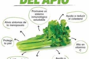Un Superalimento para Tu Salud