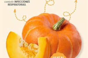 Los Beneficios de la Calabaza de Castilla para la Salud