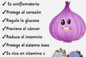 Los Increíbles Beneficios de la Cebolla Morada para tu Salud