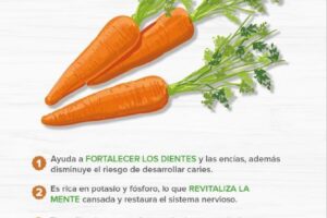 Beneficios de la Zanahoria para la Salud
