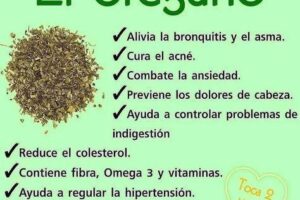 Los Beneficios del Orégano para la Salud
