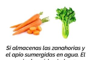 Cómo Almacenar Zanahorias y Apio en Agua para Prolongar su Frescura