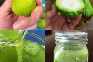 ¡El chayote: un aliado natural para tu salud! 🌱