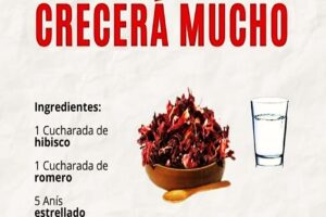 Receta Natural para el Crecimiento del Cabello: ¡Fórmula Casera para Estimular el Crecimiento Capilar!
