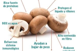 Beneficios de los Champiñones: Un Superalimento Natural para tu Salud