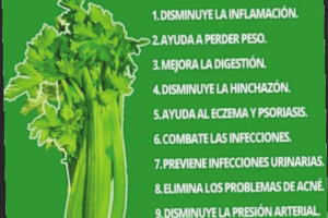 10 Razones para Tomar Té de Apio: Beneficios Inesperados para tu Salud