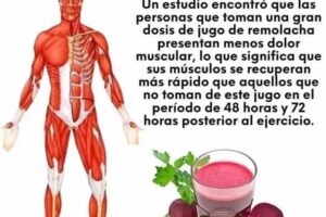 Los Beneficios del Jugo de Remolacha para la Recuperación Muscular