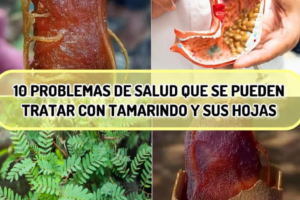 El tamarindo: Un fruto con múltiples beneficios para la salud