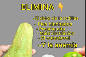 Chayote: Un Regalo de la Naturaleza
