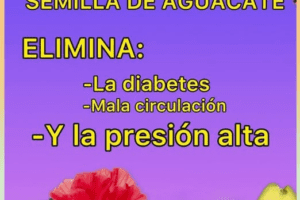 Recetas Creativas con Flor de Jamaica y Aguacate