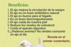 Los Beneficios del Ajo para la Salud: ¡Descubre cómo un diente al día puede mejorar tu bienestar!