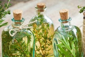 Cómo Preparar Alcohol de Romero y Sus 25 Increíbles Usos 🌿✨