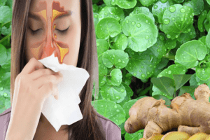 Berro y Jengibre: Remedio Natural para Sinusitis y Tos 🌿🍯