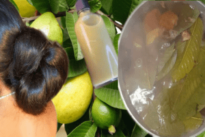 Tónico Capilar con Romero, Jengibre y Hojas de Guayaba para Frenar la Caída del Cabello 🌿💆‍♀️