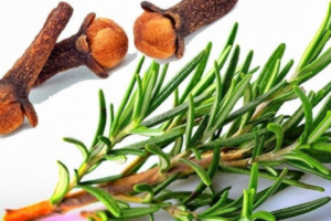 Romero y Clavos: La Combinación Perfecta para la Salud y Belleza 🌿✨