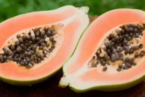Los Beneficios de las Semillas de Papaya: Un Tesoro Nutricional Infravalorado
