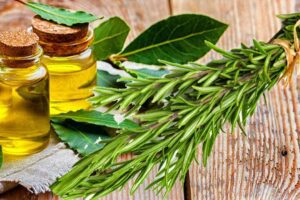 Recetas de Aceite de Oliva y Romero para el Cuidado Capilar y Más