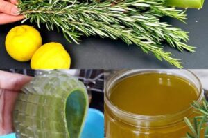 Mezcla aloe vera y romero, luego vienes a agradecerme