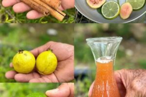 esto es lo que sucede si tomas te de guayaba y canela