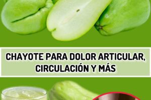 «Descubre los beneficios del chayote: Dolor articular, circulación y más»