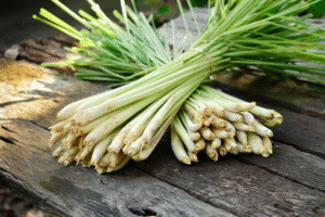 Limoncillo (Cymbopogon citratus): Una Planta Aromática con Poderes Curativos Sorprendentes