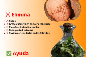 Cómo Preparar un Tónico Natural de Semilla de Aguacate para Fortalecer tu Cabello